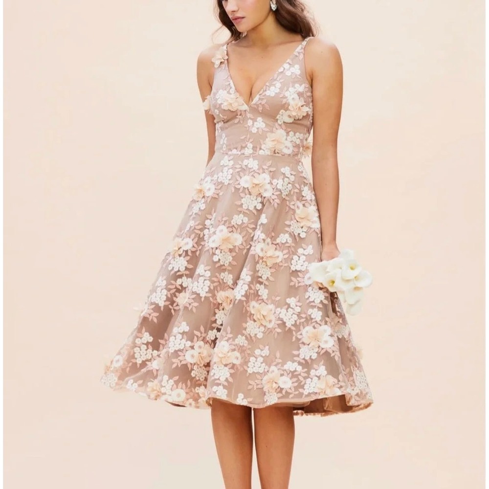 Dress the Population NWT Elise Embroidered and Appliqued Fit and Flare Dress XL